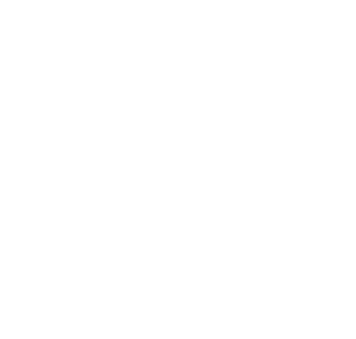 Wokshop - a bite of thailand